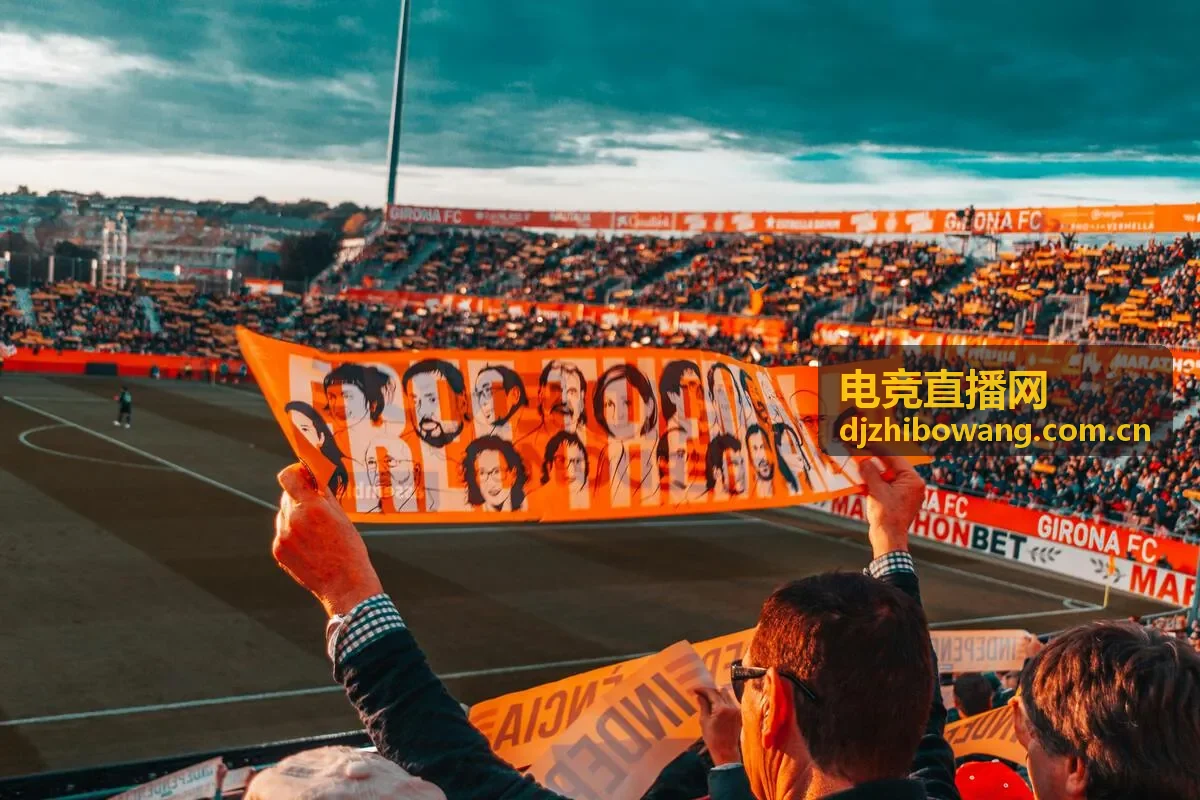 电竞直播网成功案例展示